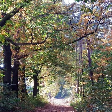 Vakantiehuis Op Rustig Bospark Veluwe Voorthuizen Bagian luar foto