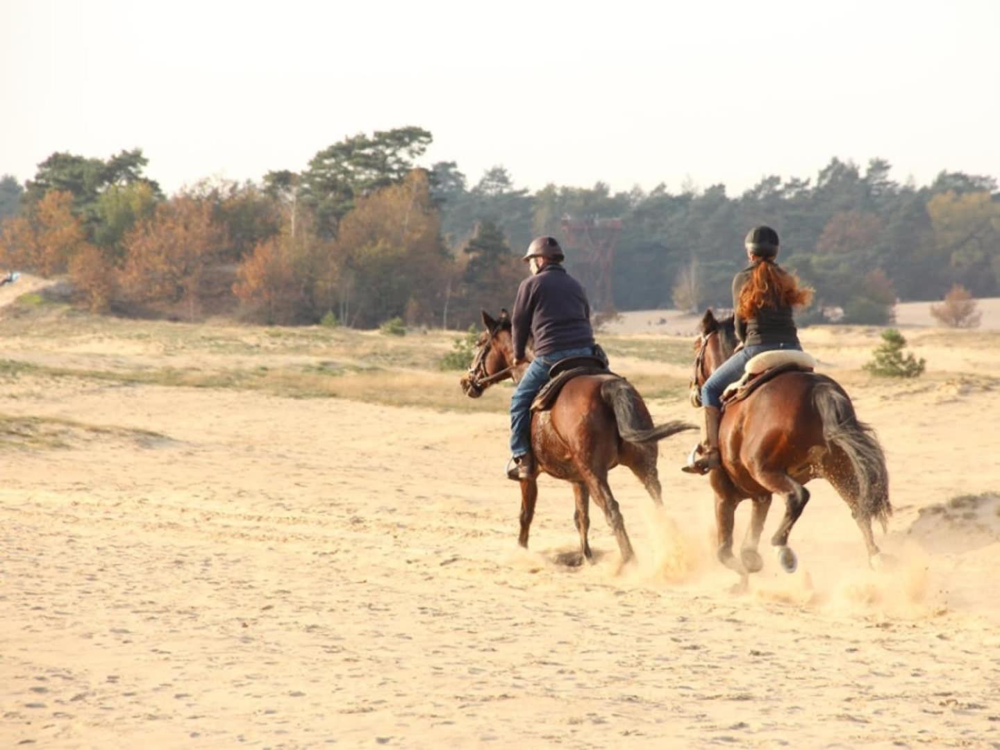 Vakantiehuis Op Rustig Bospark Veluwe Voorthuizen Bagian luar foto