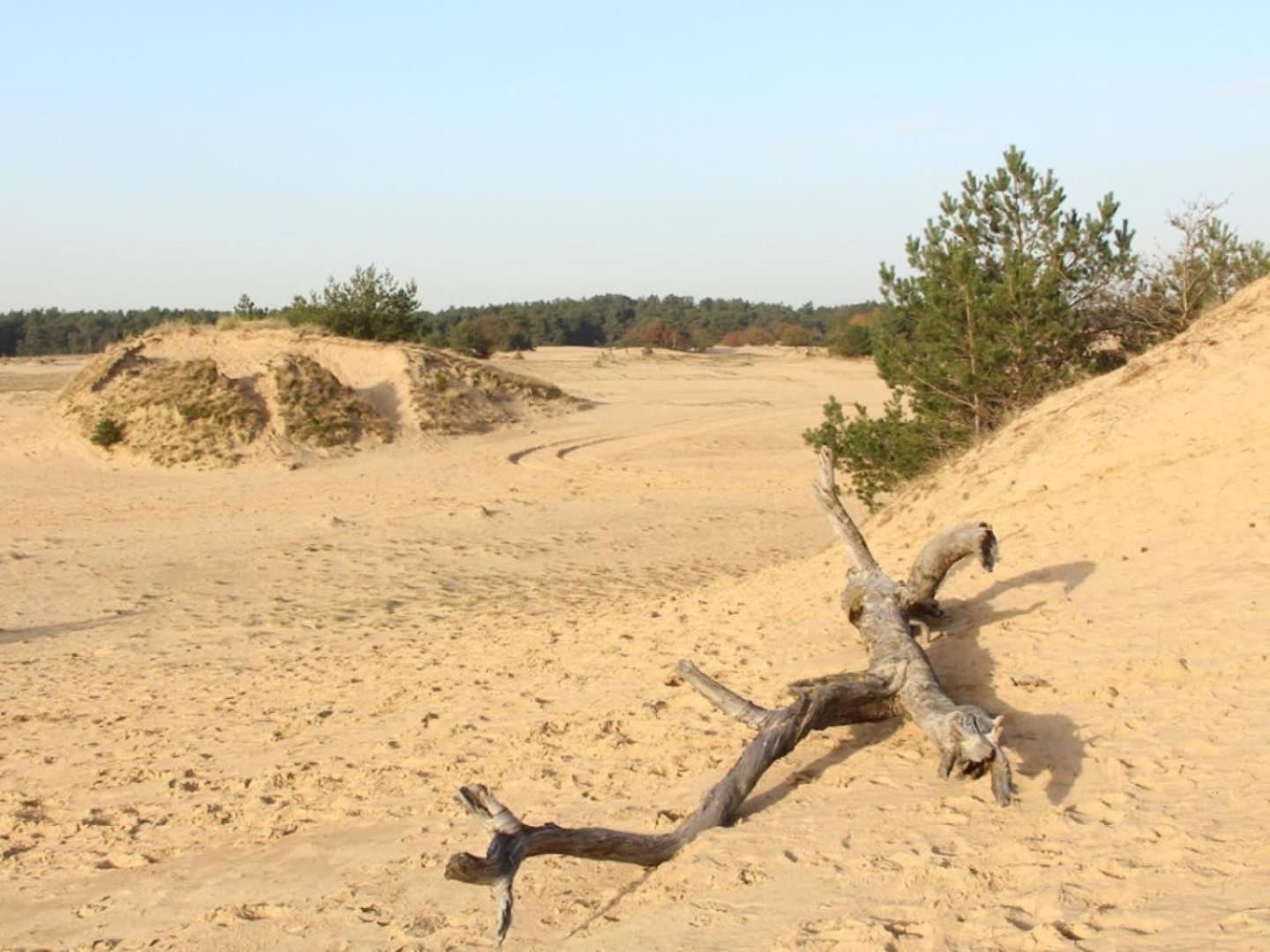 Vakantiehuis Op Rustig Bospark Veluwe Voorthuizen Bagian luar foto