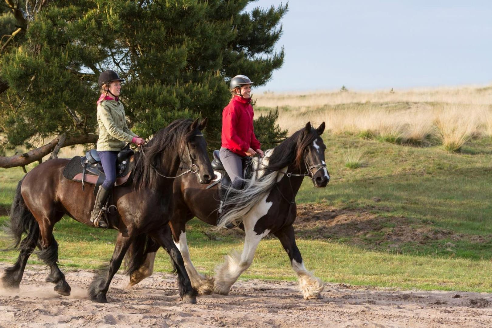 Vakantiehuis Op Rustig Bospark Veluwe Voorthuizen Bagian luar foto