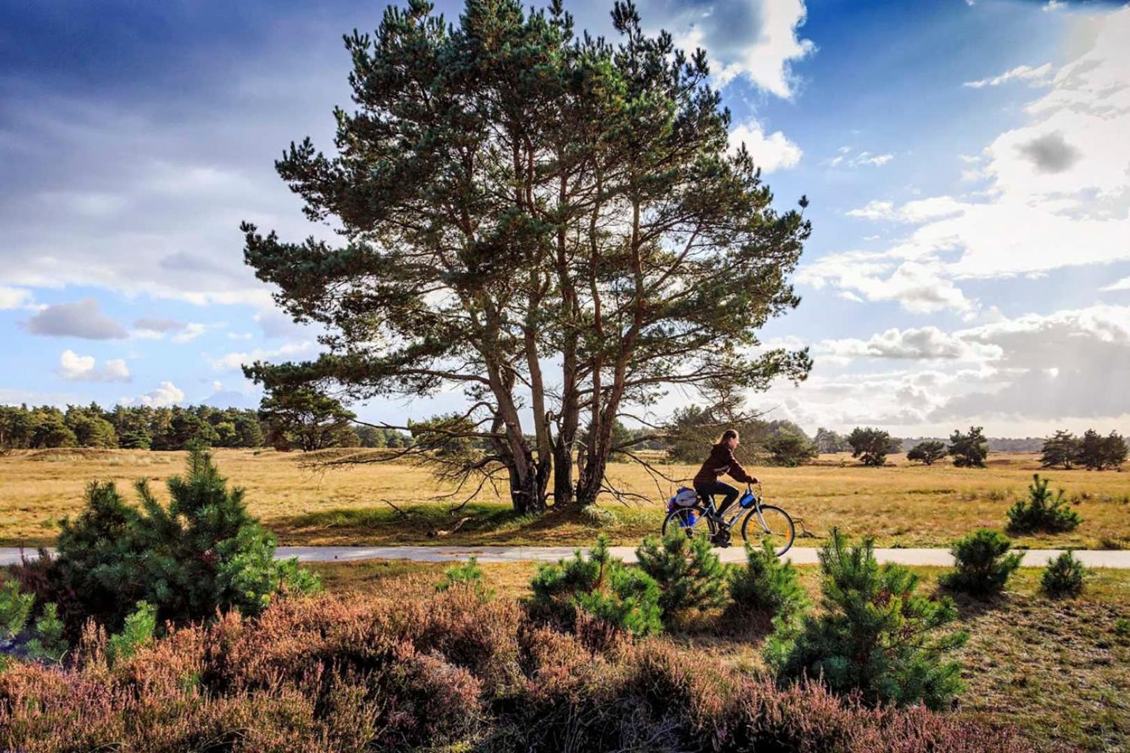 Vakantiehuis Op Rustig Bospark Veluwe Voorthuizen Bagian luar foto